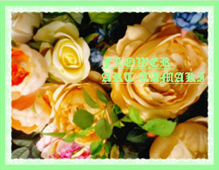A[eBtBVt[摜