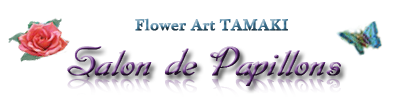 Tea & Table Cordinate Class - Salon de Papillons -